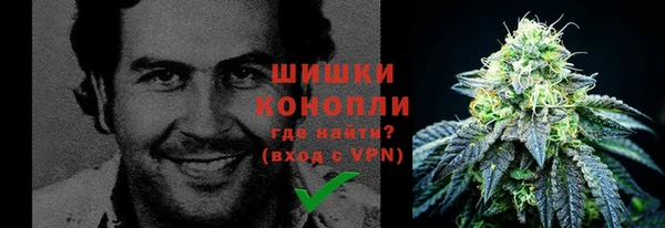 ГАЛЛЮЦИНОГЕННЫЕ ГРИБЫ Абаза