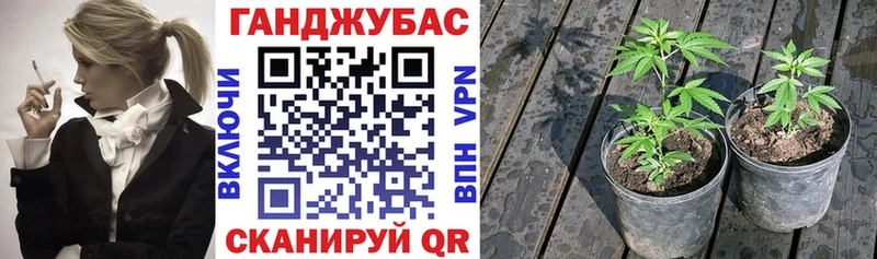 наркота  Каргополь  МАРИХУАНА MAZAR 